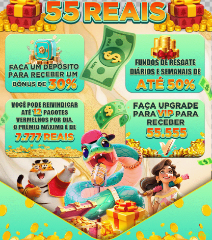 Suporte Login